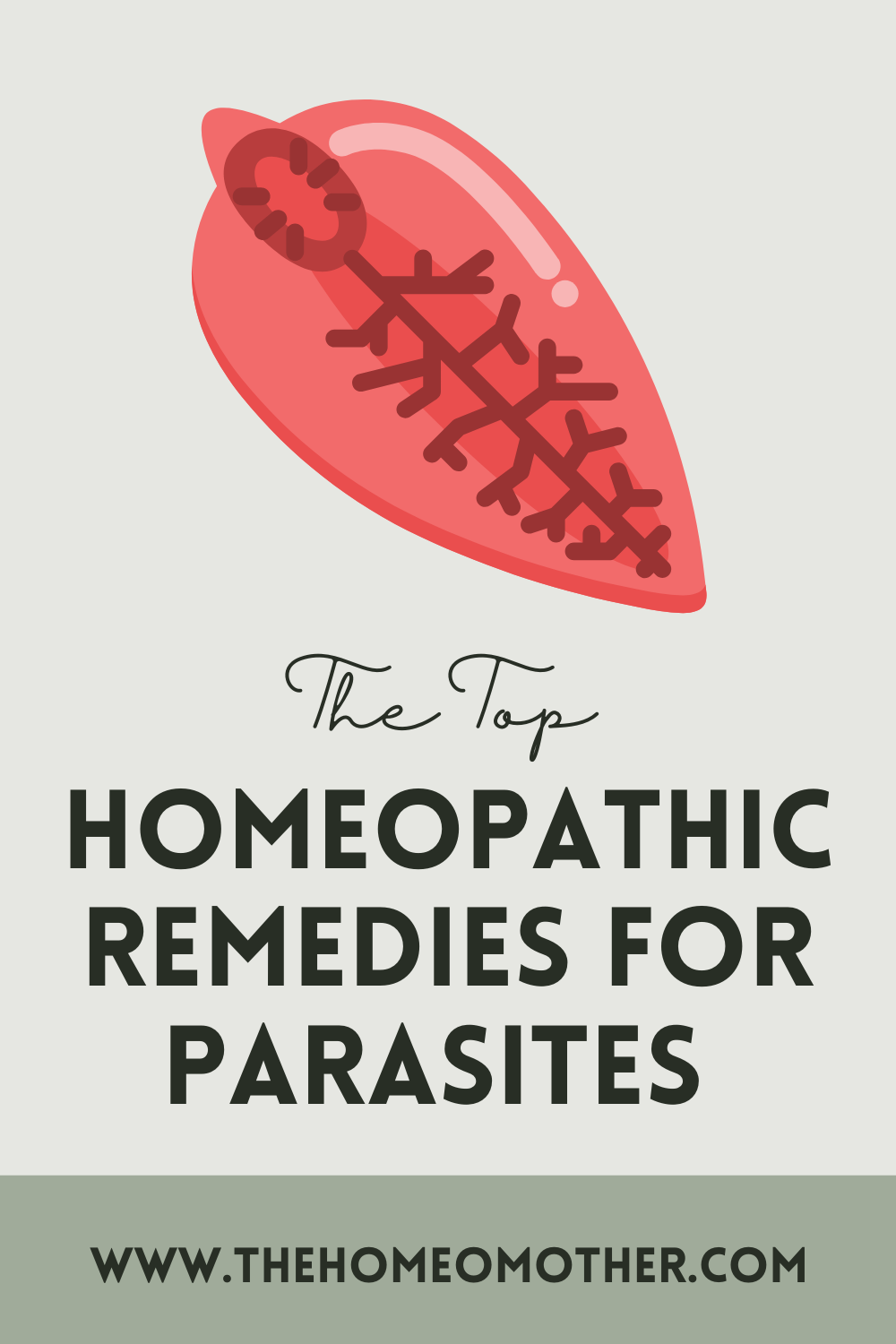 The Top 4 Best Homeopathic Remedies for Parasites