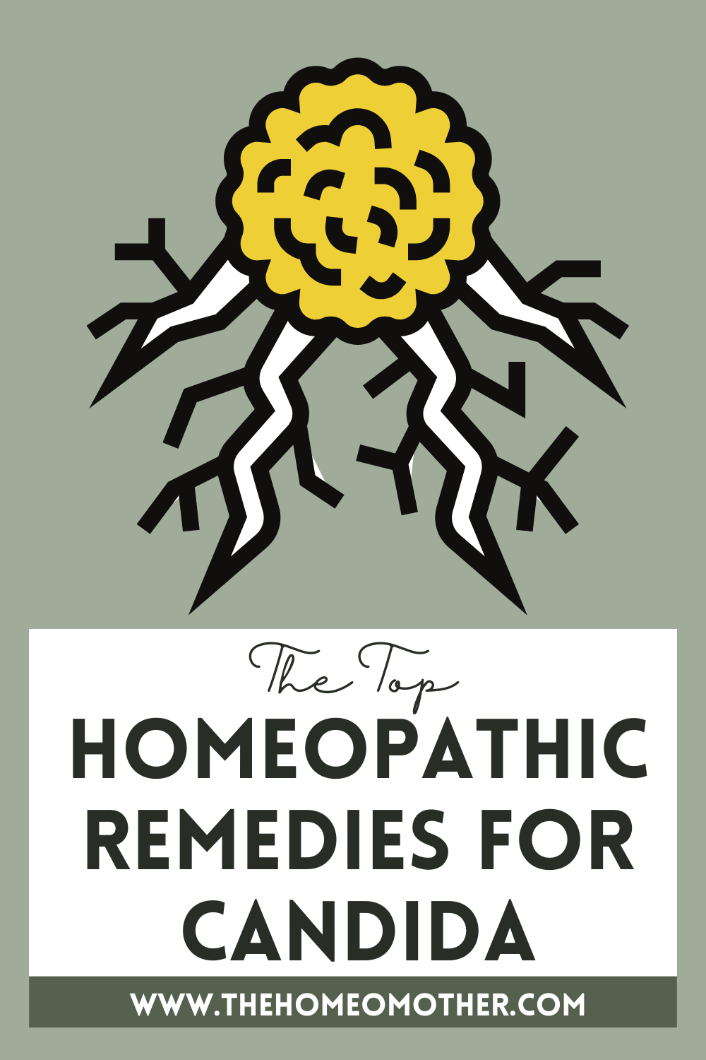 The Top 6 Best Homeopathic Remedies for Candida