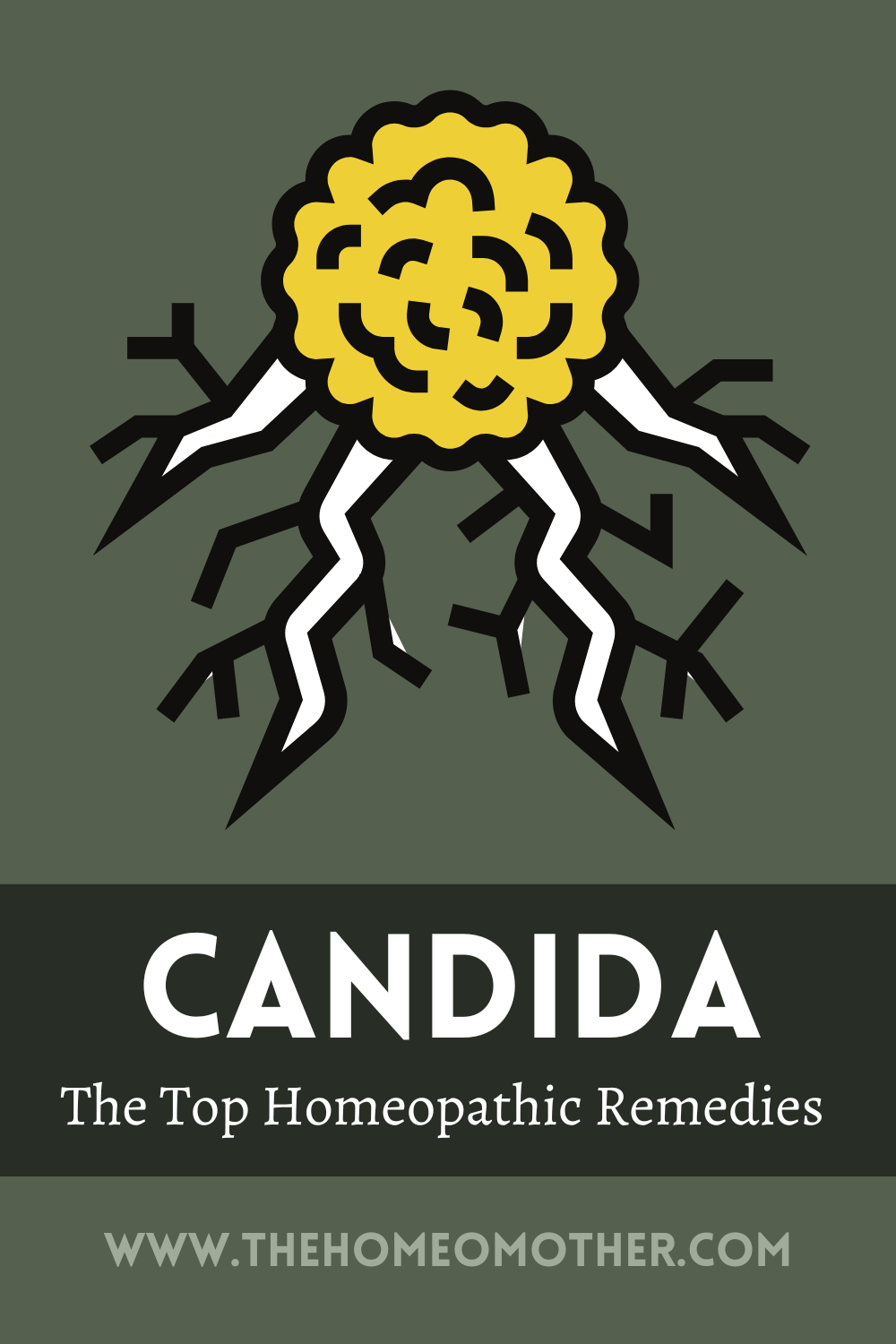Candida: The Top 6 Homeopathic Remedies