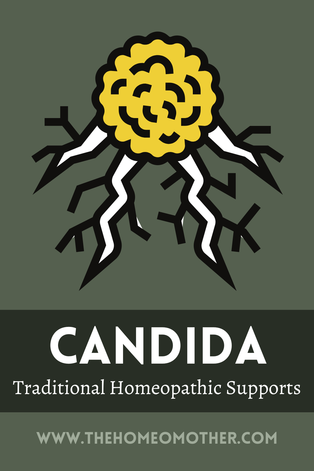 Candida: Traditional Homeopathic Supports