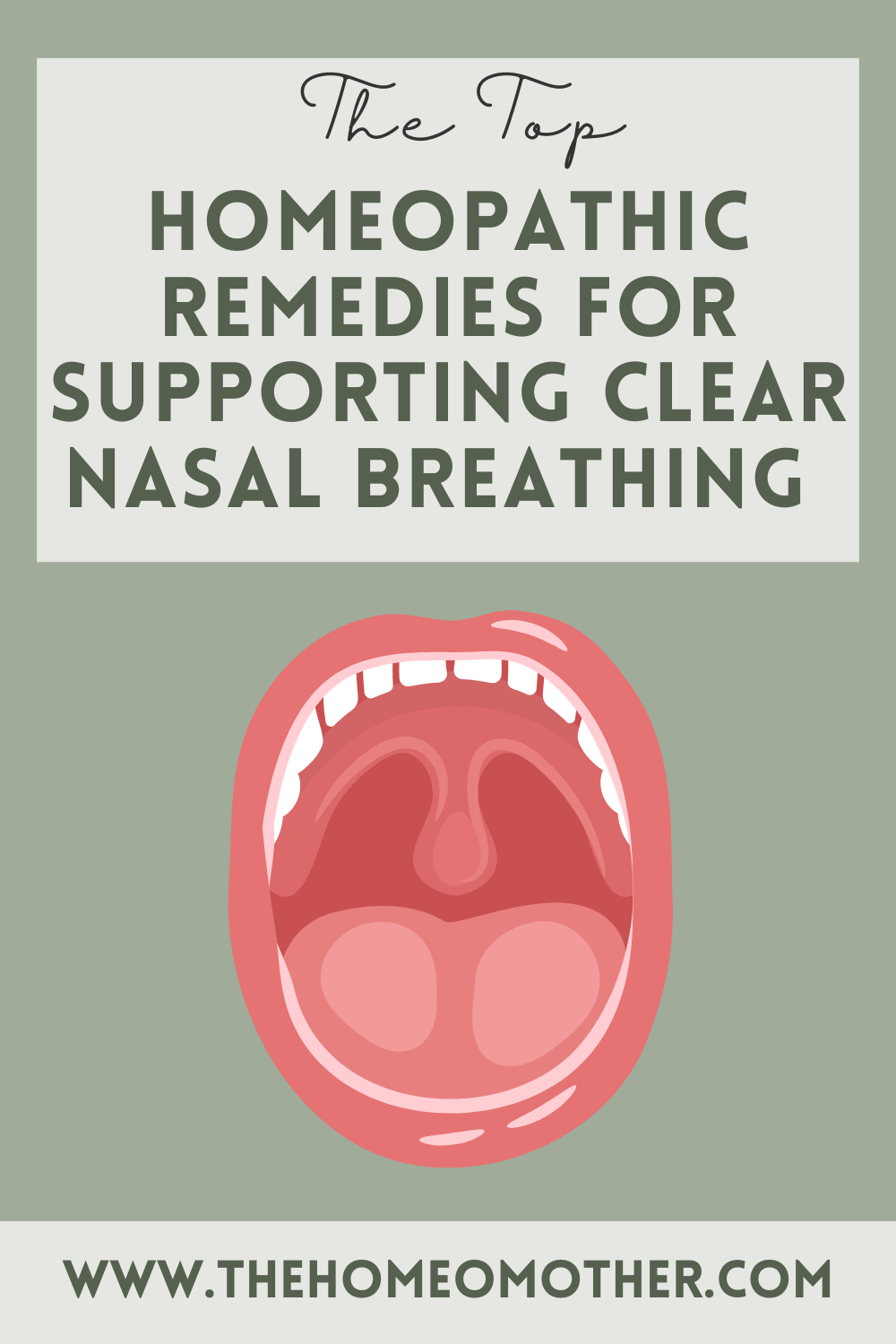 The Top 9 Best Homeopathic Remedies For Supporting Clear Nasal Breathing