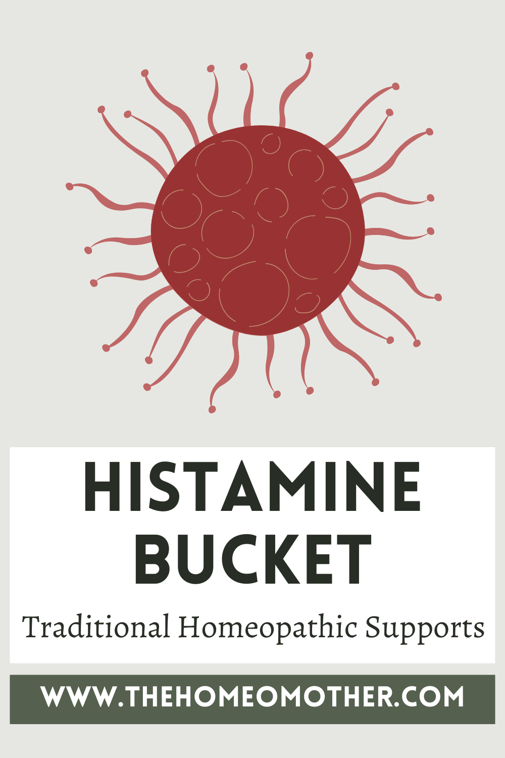 Histamine Bucket: Traditional Homeopathic Supports